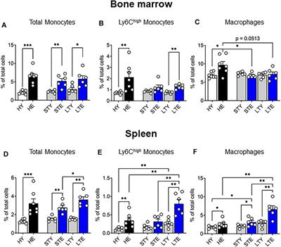 Aging Leads to Increased Monocytes and Macrophages With Altered CSF-1 Receptor Expression and Earlier Tumor-Associated Macrophage Expansion in Murine Mesothelioma